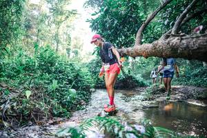 BIB: 
                            <button type="button" onclick="openModal(25436319)" class="btn btn-primary btn-sm float-right btn-popup" data-toggle="modal" data-target=".modal-high-quality">
                        <i class="fas fa-shopping-cart"></i> Add to Cart
                    </button>
                                            <button type="button" onclick="isThisMe(25436319, true)" class="btn btn-success btn-sm float-right btn-popup btn-isme hidden" data-toggle="tooltip" data-placement="bottom" title="นี่คือรูปของคุณใช่ไหม คลิกที่นี่เพื่อเอาเข้าอัลบั้ม">
                        <i class="fas fa-plus"></i> Add to album
                    </button>
                    <button type="button" onclick="isThisMe(25436319, false)" class="btn btn-warning btn-sm float-right btn-popup btn-isnotme hidden">
                        <i class="fas fa-ban"></i> Remove from album
                    </button>